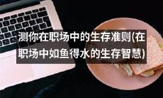 在职场中如鱼得水的生存智慧：测试你的职场生存准则