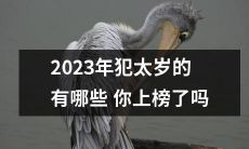 你是否被2023年犯太岁所影响？查看名单，了解吉凶并备对策