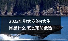 如何预防2023年犯太岁的四大生肖带来的不利影响及危险？