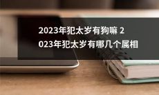 2023年属于农历犯太岁,哪些十二生肖属相将受影响?是否包括狗属相?
