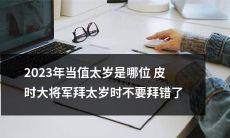 亲自拜访2023年当值太岁的皮时大将军：为避免拜错太岁，掌握正确的拜祭仪式和礼仪准则是不可或缺的！