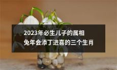 2023年属兔年必生儿子的幸运生肖：揭秘三大添丁进喜的属相！