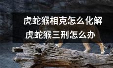 如何化解虎、蛇、猴之间的相克关系及应对三刑的教程？