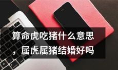 深度解读算命虎吃猪的预兆含义，探究属虎属猪是否适宜步入婚姻殿堂