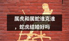 谈论属虎和属蛇之间的相克关系，以及评估是否应该进行蛇虎结婚 – 一个关于生肖属相的探讨