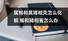如何化解属猴与属猪间的相克关系，以及对于属猴与属猪犯冲害时的应对策略