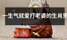 哪些生肖男在情绪激动时容易动手打老婆？