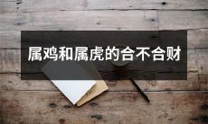 属鸡和属虎的个性特点、性格互动及财富结合能力是否足够强大,从而决定他们是否能够在经济上取得合作的成功?