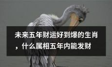 在未来五年中，哪些生肖属相将拥有极其充足的财运，实现财富自由？