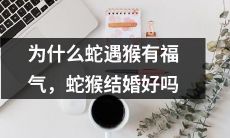 为什么蛇和猴神仙配是上天给予的福利?结婚后的蛇猴组合能否带来幸福?