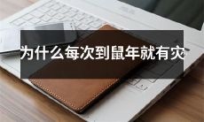 难？寻找鼠年灾难的根源和背景