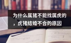 探究属猪与属虎不能匹配的原因：婚姻中的虎猪组合不合适