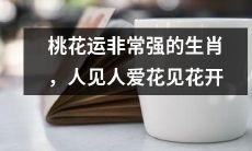 十二生肖中拥有极强桃花运的生肖,在众人眼中备受爱戴,花朵在其面前绽放无比美丽