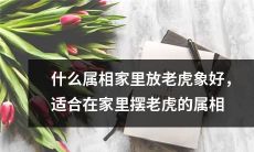 哪些属相适合在家放置老虎装饰品,如象或雕像?