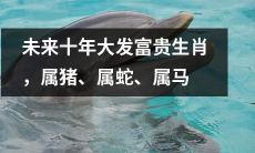 十年内属猪、属蛇、属马生肖将成为潜力巨大的财富机会！