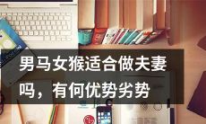 男马女猴是否适合成为夫妻，探究其优缺点，做出明智选择