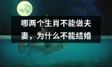 哪两个生肖不宜配对,因何不适合联姻?