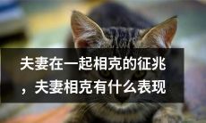 夫妻之间存在相克现象的迹象及其表现特征:探讨夫妻相克的可能征兆