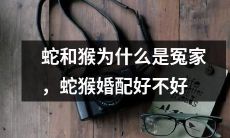 究竟为什么蛇和猴如此仇视，考虑到古今中外的历史和文化背景，探讨蛇猴婚配是否可行或者提升它们之间的关系是否有可能？