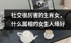 探究社交能力极为出色的生肖女士,哪个属相女性在人缘方面表现突出