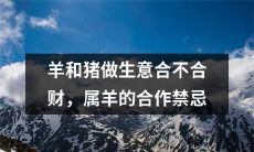 羊与猪的生意合作是否具有财务可持续性，以及属羊人应避免的商业合作禁忌