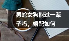 男蛇女狗：一对不太看好但可能成功的婚配？如何在性格差异和传统观念间平衡呢？