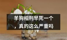 羊和狗的共同惩罚，导致早逝的情况是否真的值得警惕？