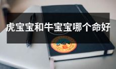 虎宝宝和牛宝宝各自的出生命运和运势有何不同?哪一个更为吉祥和吉利呢?