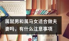 十二生肖中属鼠男和属马女是理想的婚姻组合吗？从性格和相处角度来看，有哪些需要关注的事项和建议？