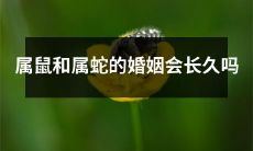 属鼠和属蛇的配偶关系是否具备长久稳定性？