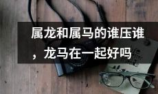 属于龙和属于马的星座，请问谁会处于主导地位？如果一起相处，龙和马的兼容度如何？