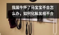 属相不合引发的烦恼：我作为属牛的人怀了属马的宝宝，该如何处理此困境及缓解属相不合的影响？