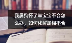 我是狗年生肖，现怀有羊宝宝，如何解决生肖不合的困境？