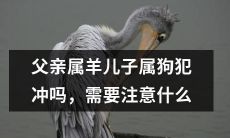 父亲是羊，儿子是狗，他们之间是否存在属相冲突问题？如何应对属相冲突带来的影响？需要注意哪些方面？