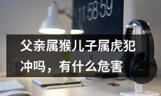 父亲是属猴，儿子是属虎，他们的冲动是否会引起哪些危害？