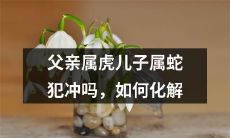同居宜,异居和谐:如果父亲属虎儿子属蛇犯冲,你应该怎样化解?