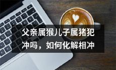 父亲生肖属猴,而儿子生肖属猪,它们是否会发生相冲?如果真的发生了,如何化解这种冲突?