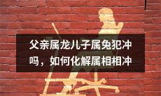 父亲属龙、儿子属兔,是否存在属相相冲,如果存在如何化解属相相冲的问题?