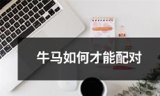 牛马之间的完美匹配：探讨牛和马如何选择适合自己的伴侣