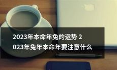 探究2023年兔年本命年兔的运势与注意事项
