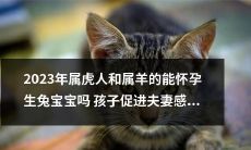 属虎和属羊的人在2023年是否具备怀孕和生育兔子宝宝的能力，而这个过程是否会促进夫妻间的感情？