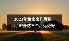 2023年求子人士注意：兔宝宝几月犯月需避开，选择以下三个月能带来更好的运势！