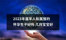 2023年属羊与属猴的夫妇进行生育计划：探讨最佳怀孕时机和宝宝出生月份的优劣 Comparison of the Optimum Timing and Birth Month for Pregnancy and Childbirth among Sheep and Monkey Couples in 2023