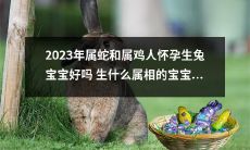 2023年属蛇和属鸡人的孕妇是否适合生兔宝宝？若非此属相，生什么属相的宝宝更佳呢？