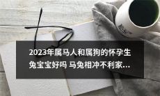 2023年属马与属狗配对：调和马兔相冲对于宝宝健康成长和家庭幸福的影响真的如传说那样吗？