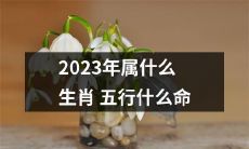 2023年是什么生肖?五行属性属于哪种命格?