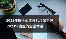 2023年出生的宝宝命运分析及其生肖，各月份优劣配置详解