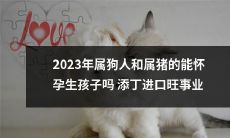 狗年和猪年出生的人在2023年是否有可能怀孕生子，从而实现家庭扩张和事业进展