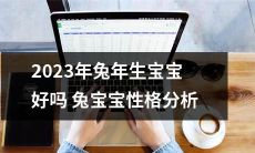 针对2023年兔年出生宝宝的性格特点进行分析,探讨兔宝宝的个性发展和适宜教育方式