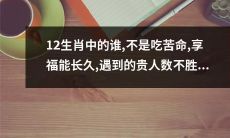 遇到诸多贵人，享受幸福长久——揭秘哪位生肖并非只有吃苦命？